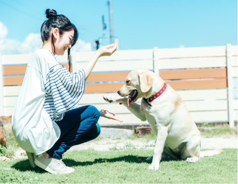 エクステリアメニュー