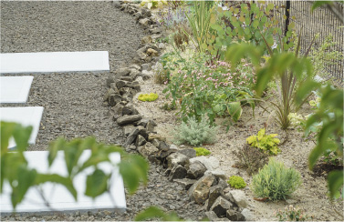 ガーデニング・植栽