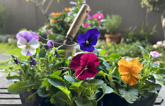 四季を身近に感じて心やすらぐ庭空間