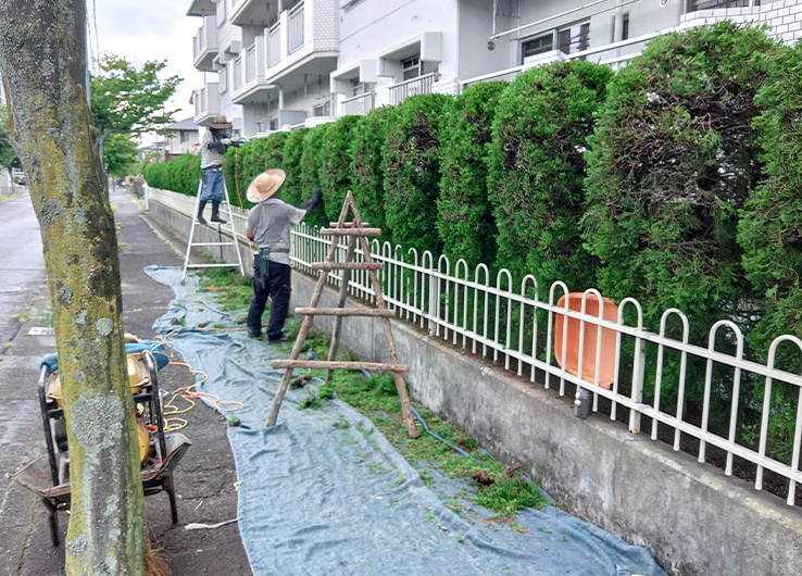 コーポラスO様邸 剪定作業の様子