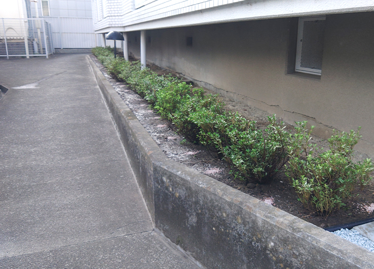 コーポラスO様邸 植え替え後の植栽の写真