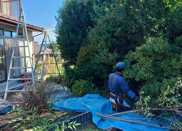 雑草の処理作業